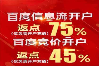 不同平台的SEM广告投放比较及成功案例分析
